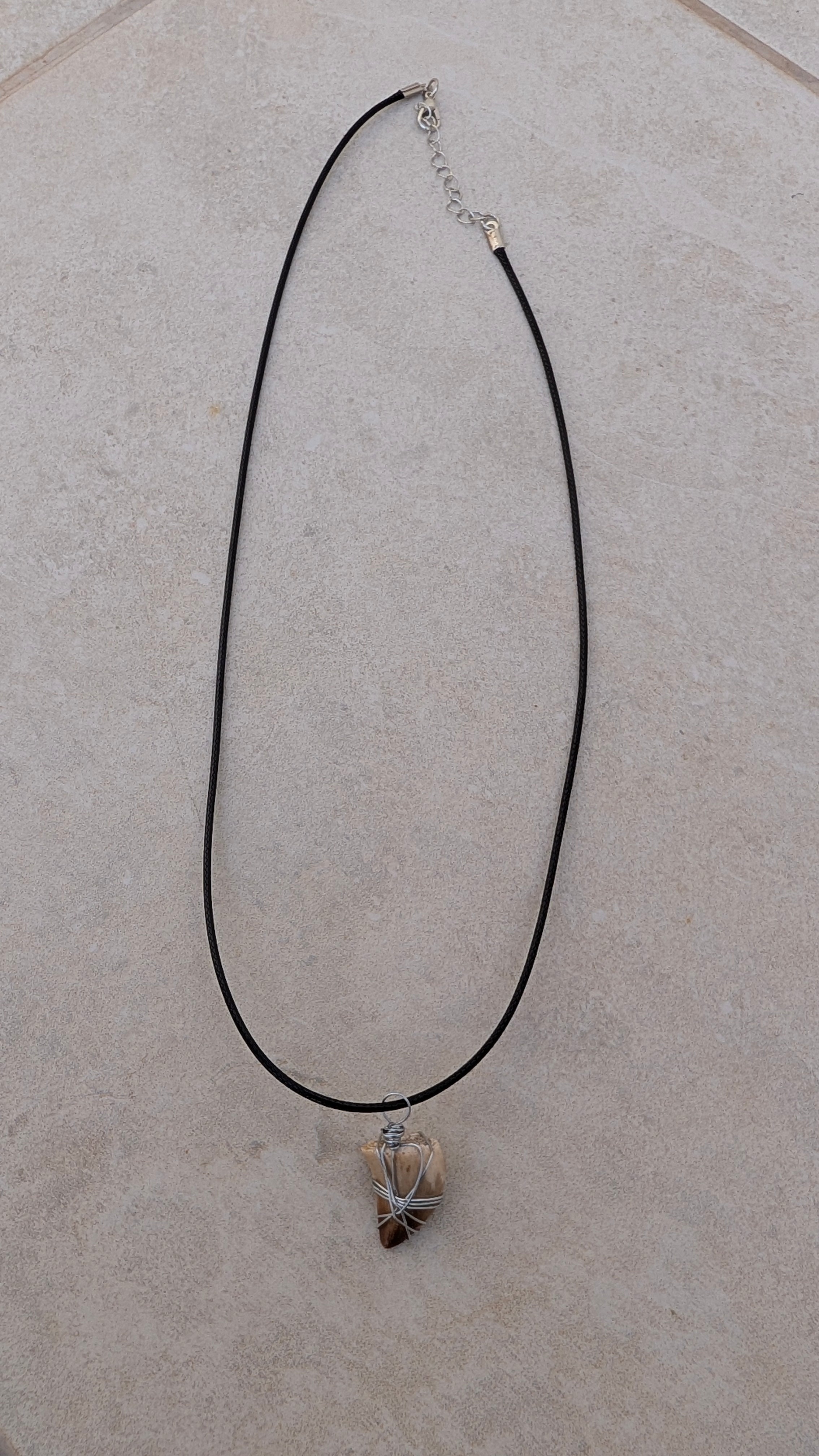 Fossil Mosasaur Tooth Necklace