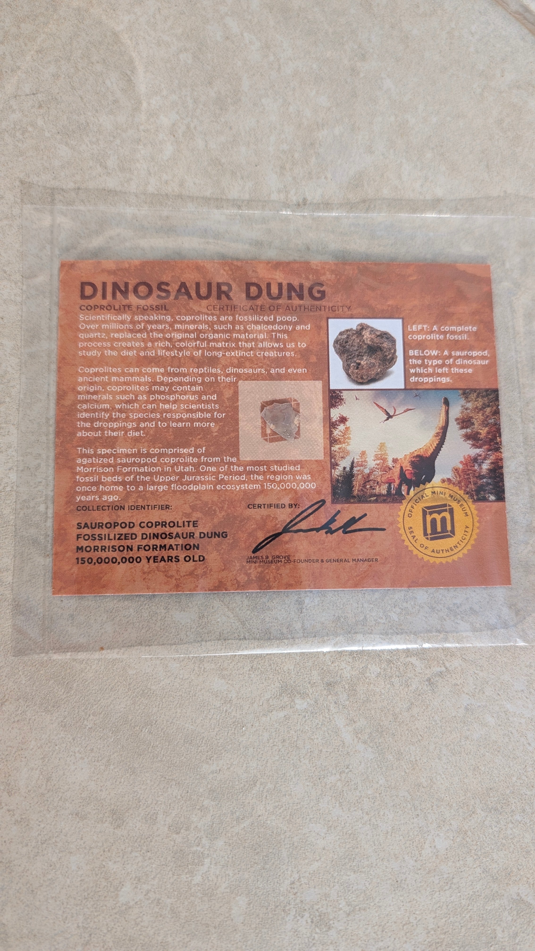 Dinosaur Dung - Card Display - Authentic Fossil Poop