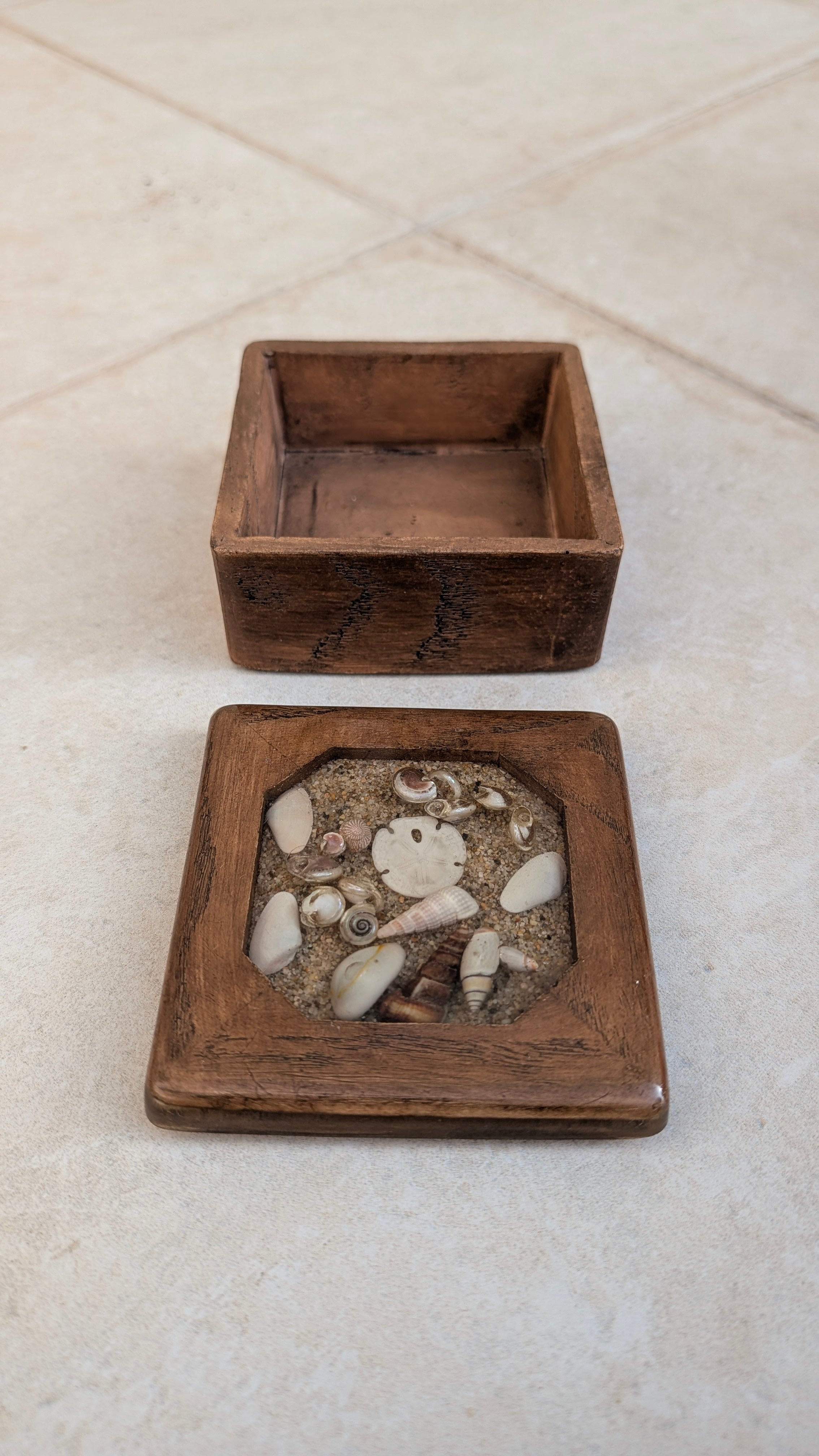 Wooden Collection Box (Assorted Shells in Resin)