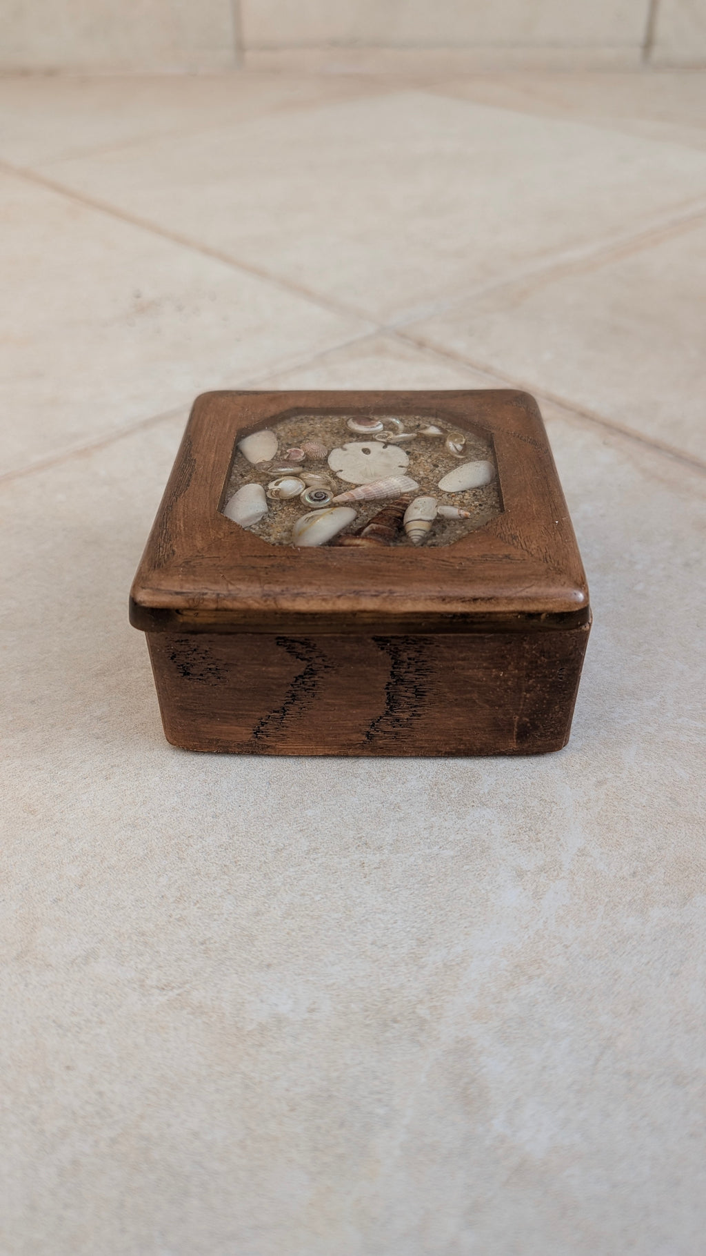 Wooden Collection Box (Assorted Shells in Resin)