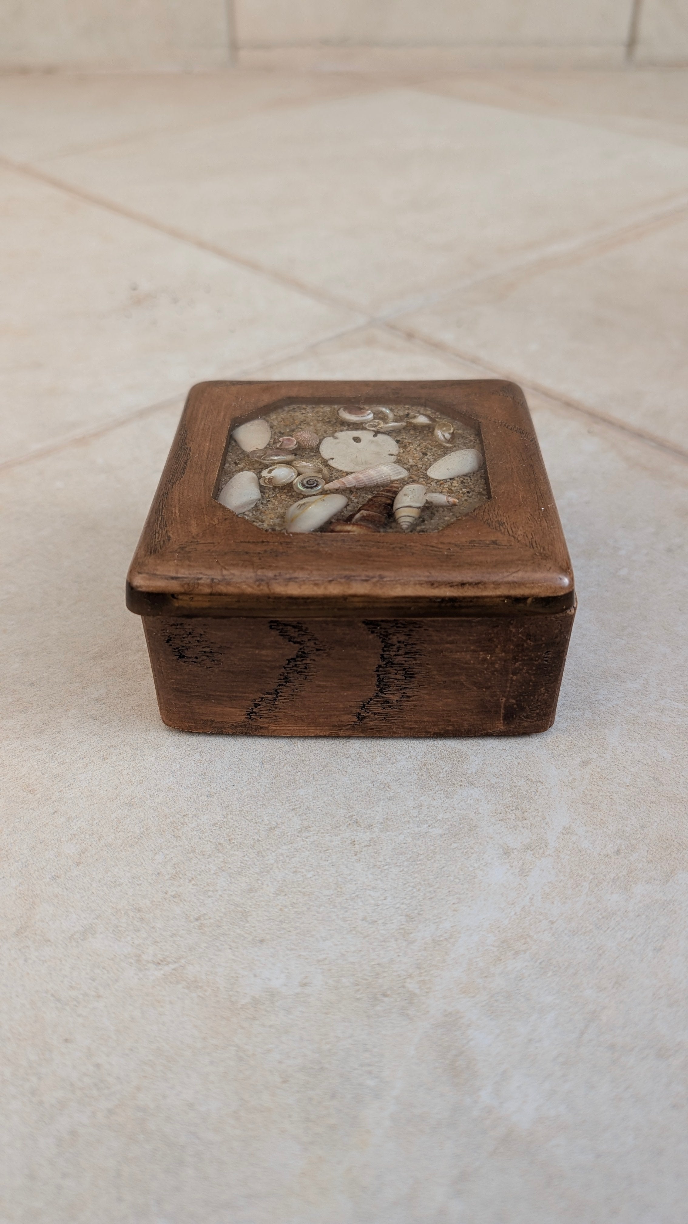 Wooden Collection Box (Assorted Shells in Resin)