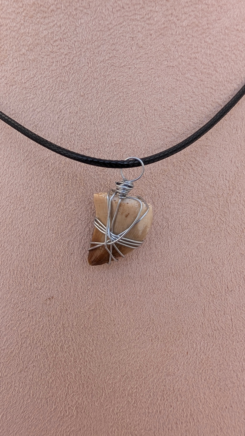 Fossil Mosasaur Tooth Necklace