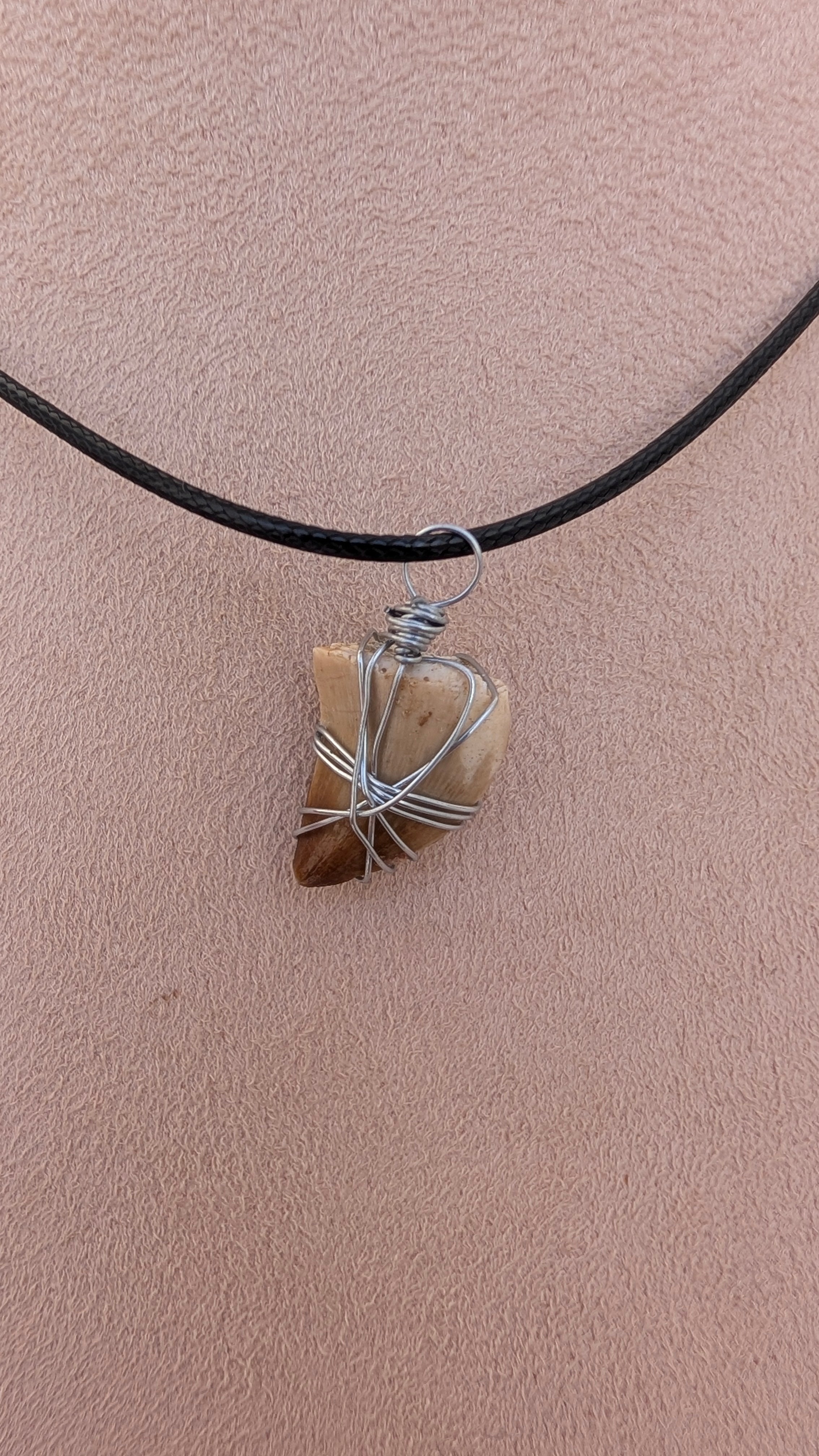 Fossil Mosasaur Tooth Necklace