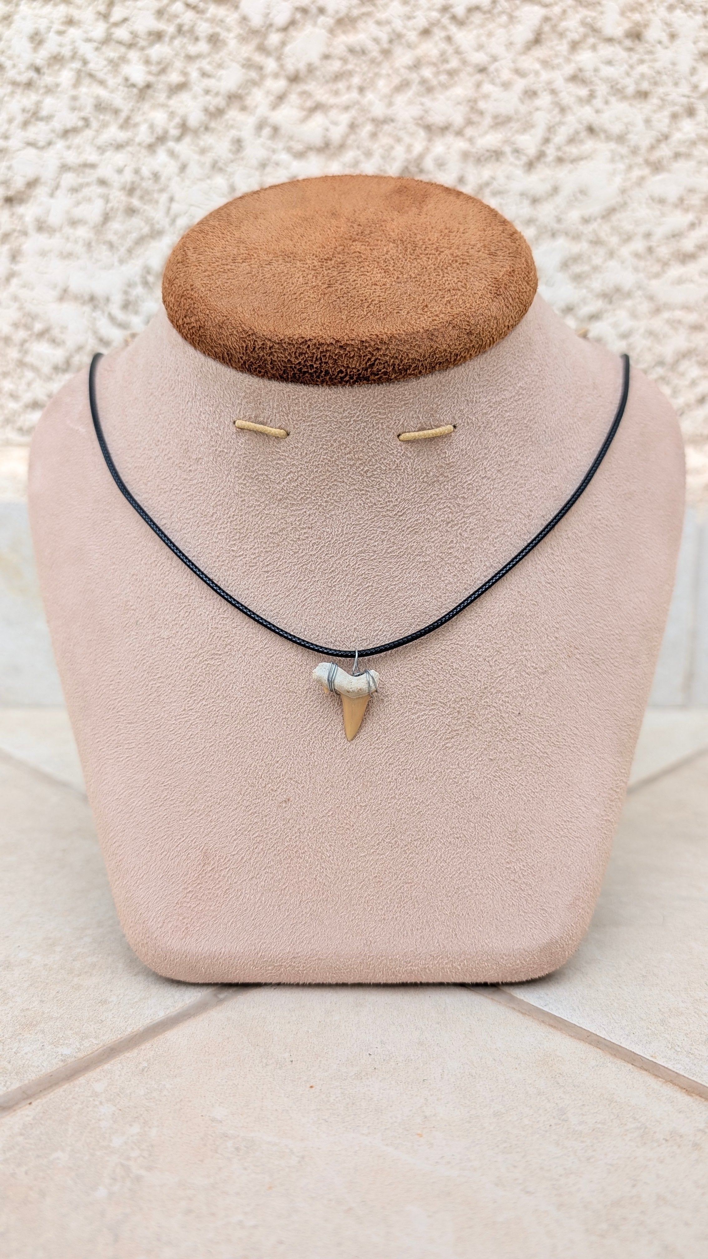 Sand Tiger Shark Tooth Necklace