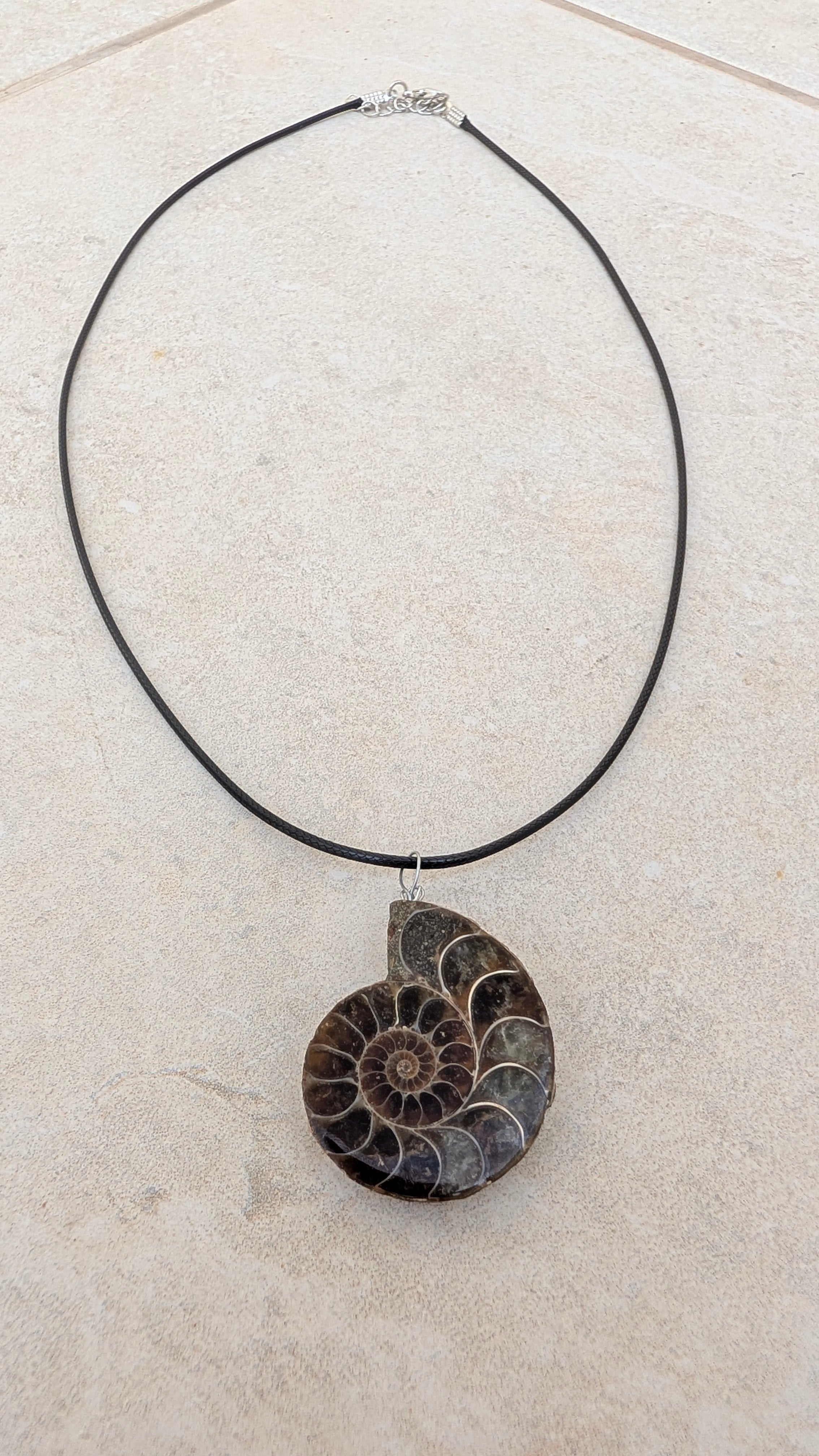 Polished Ammonite Necklace
