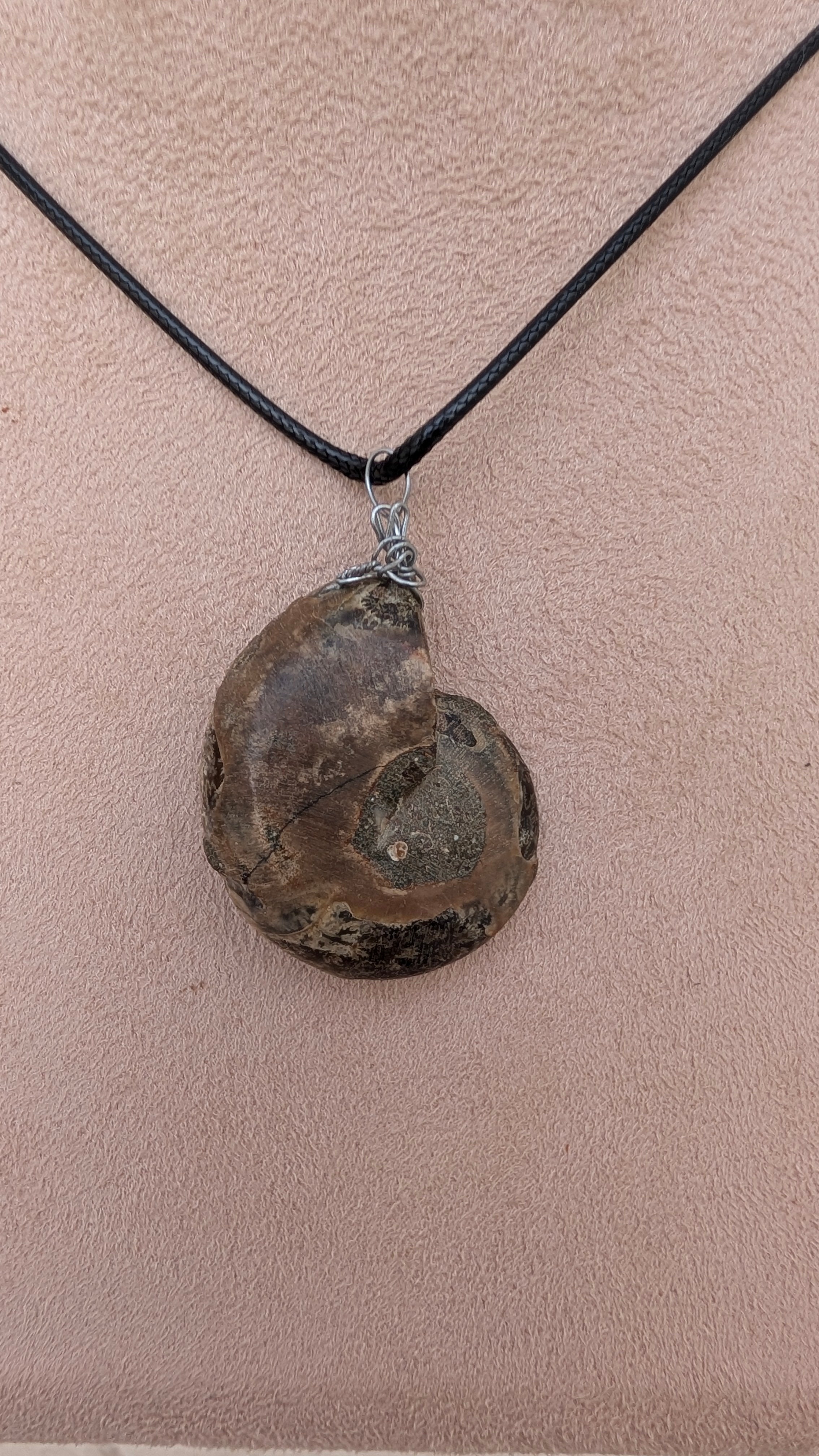 Polished Ammonite Necklace