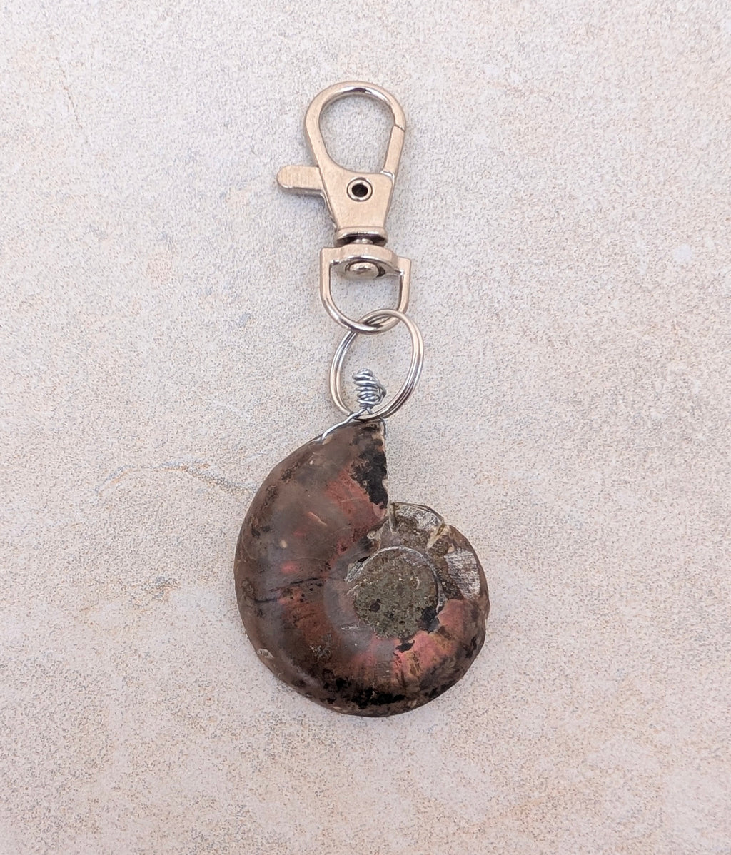 Porte-clés Ammonite polie