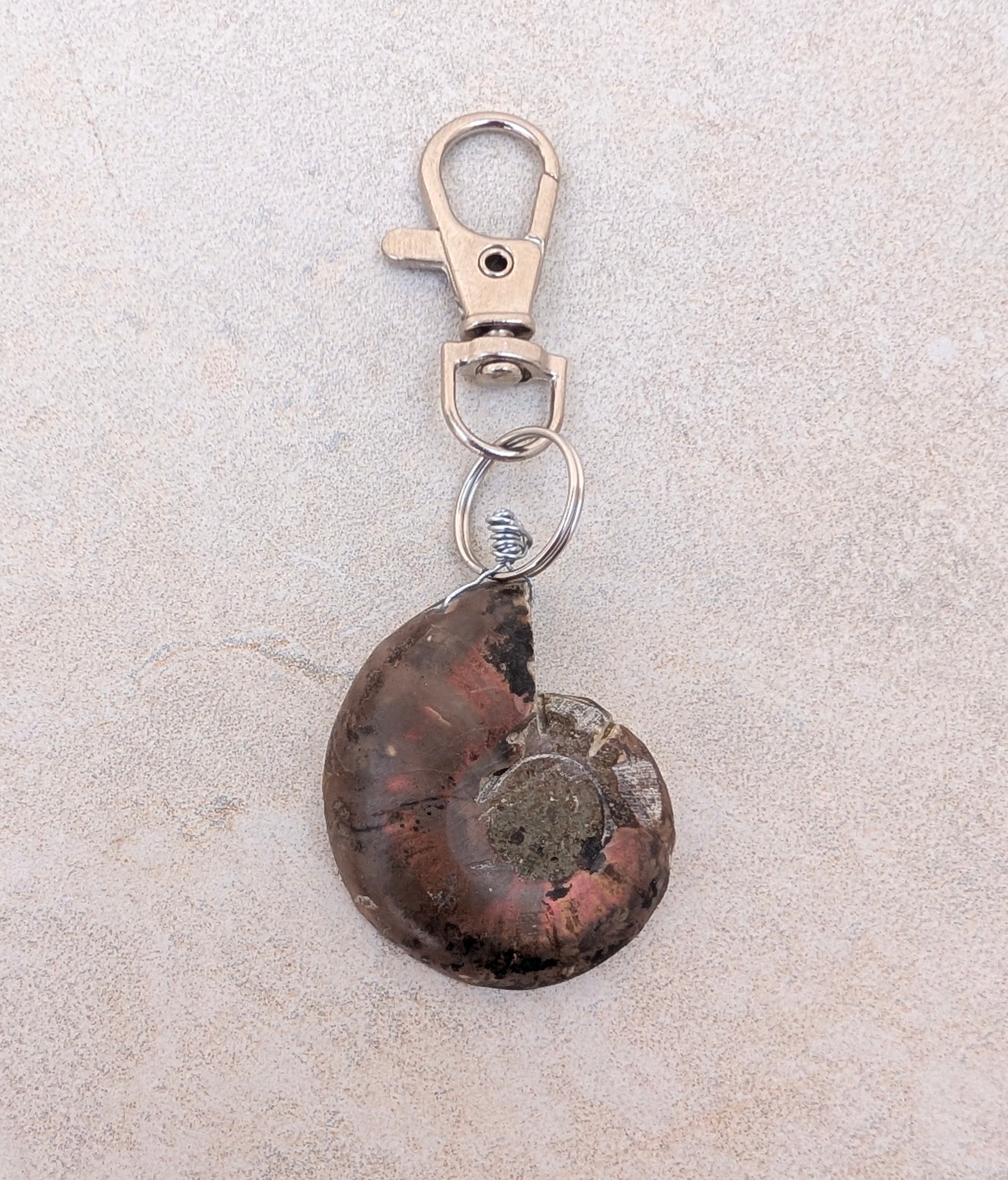 Polished Ammonite Keychain