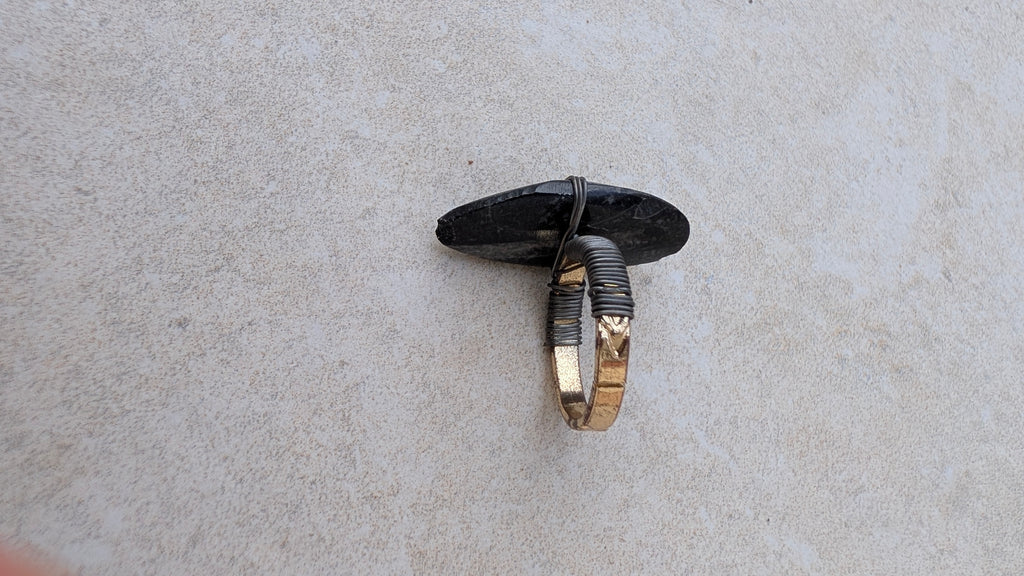 Bague fossile d'orthocère