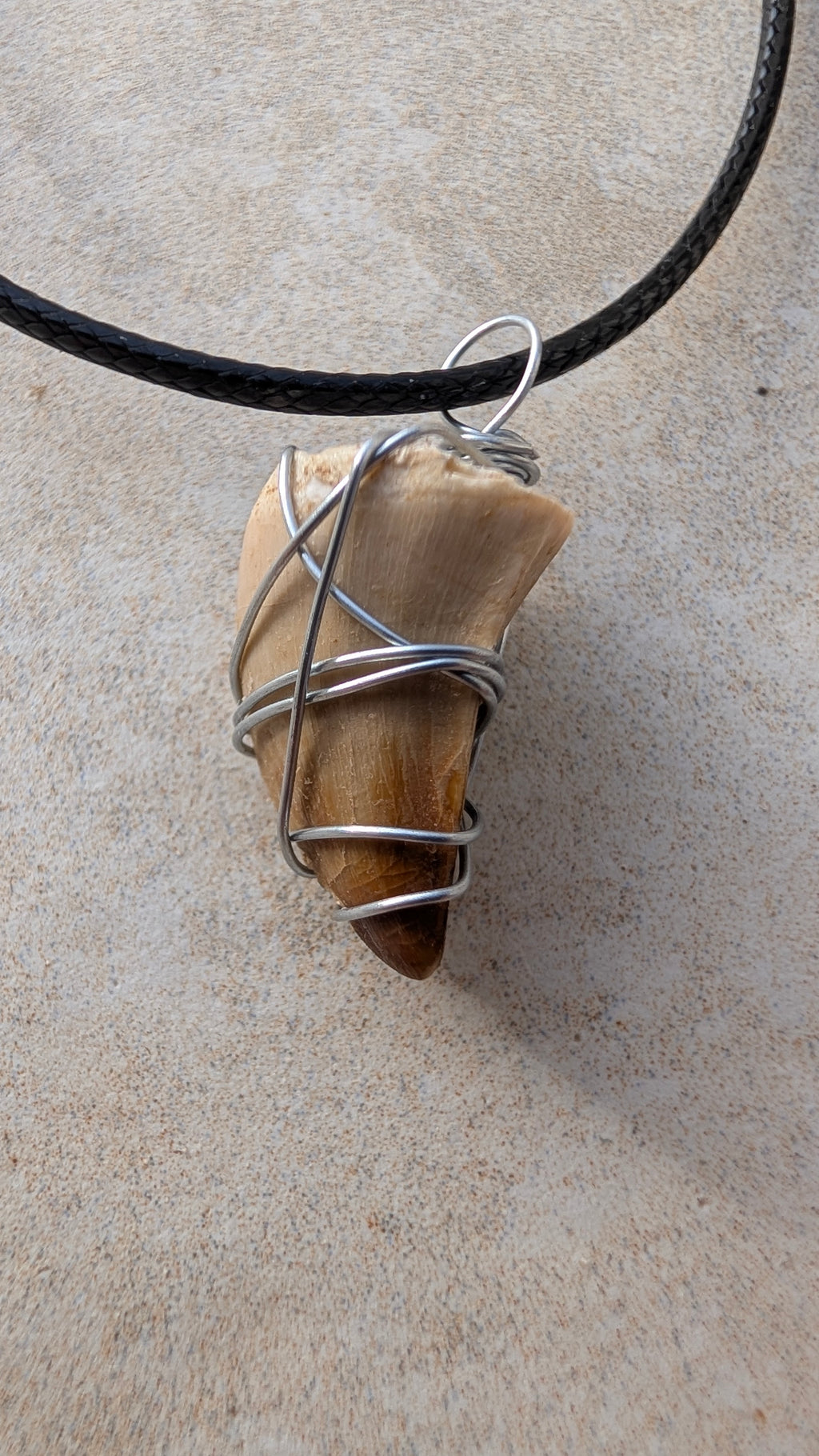 Fossil Mosasaur Tooth Necklace
