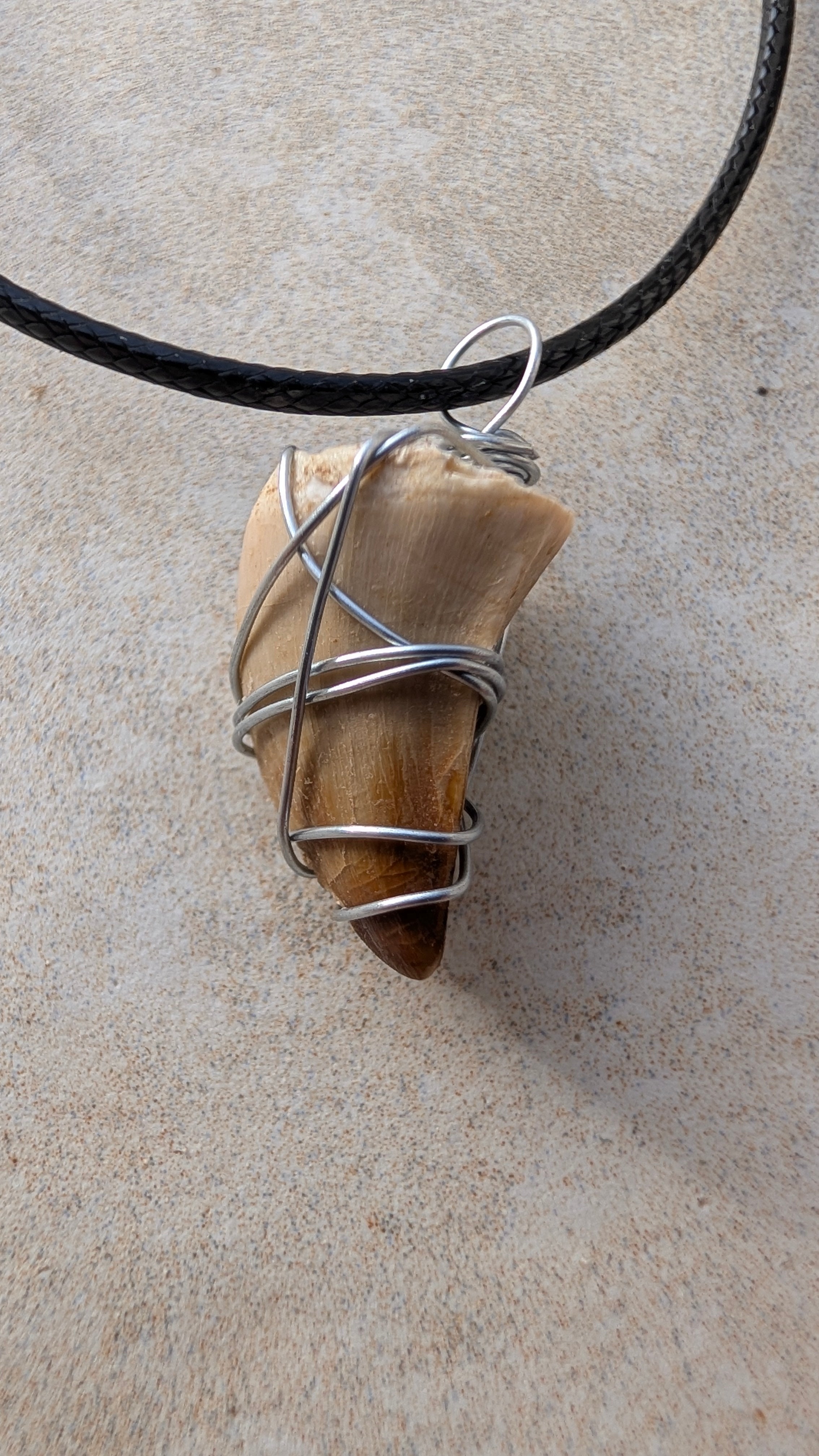 Fossil Mosasaur Tooth Necklace