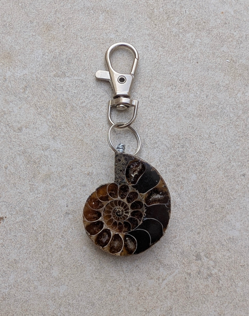Porte-clés Ammonite polie