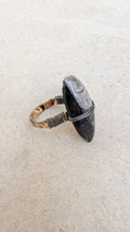 Bague fossile d'orthocère