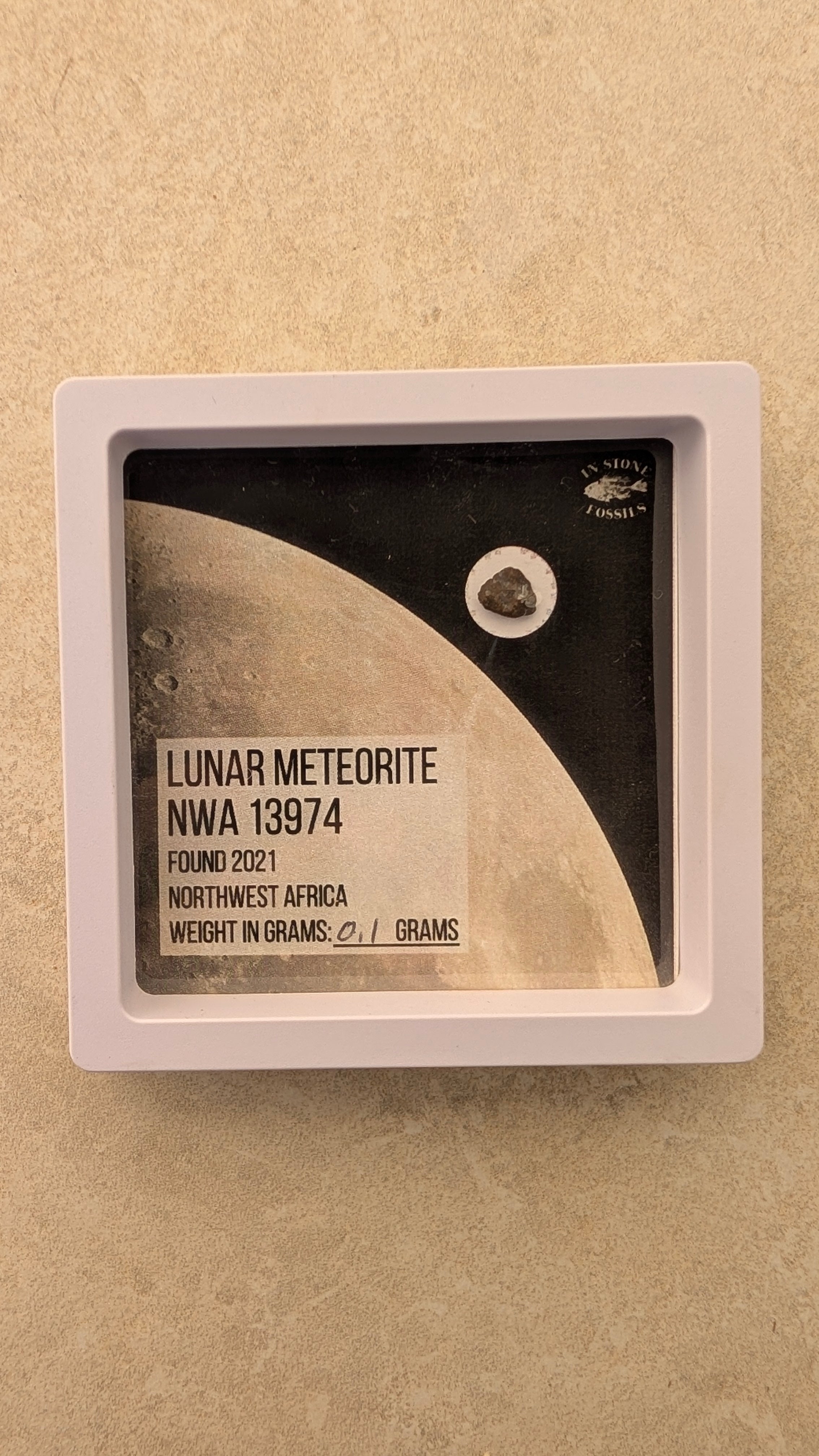 Lunar Meteorite NWA 13974
