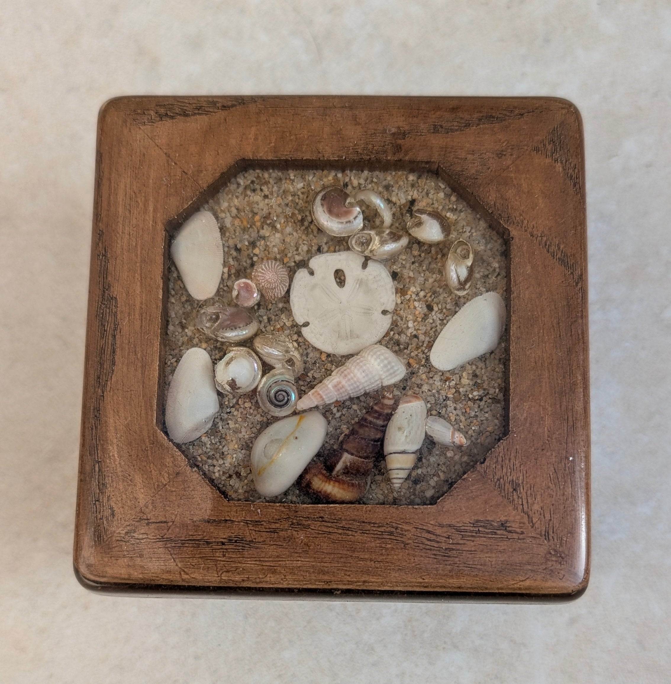 Wooden Collection Box (Assorted Shells in Resin)