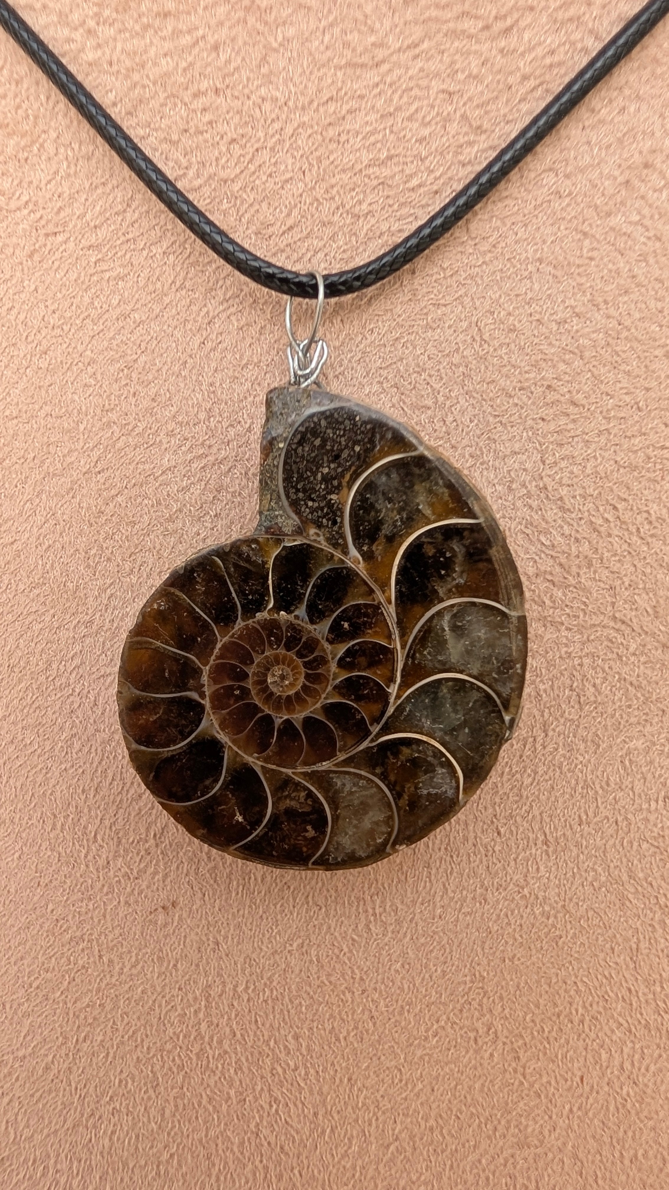 Polished Ammonite Necklace