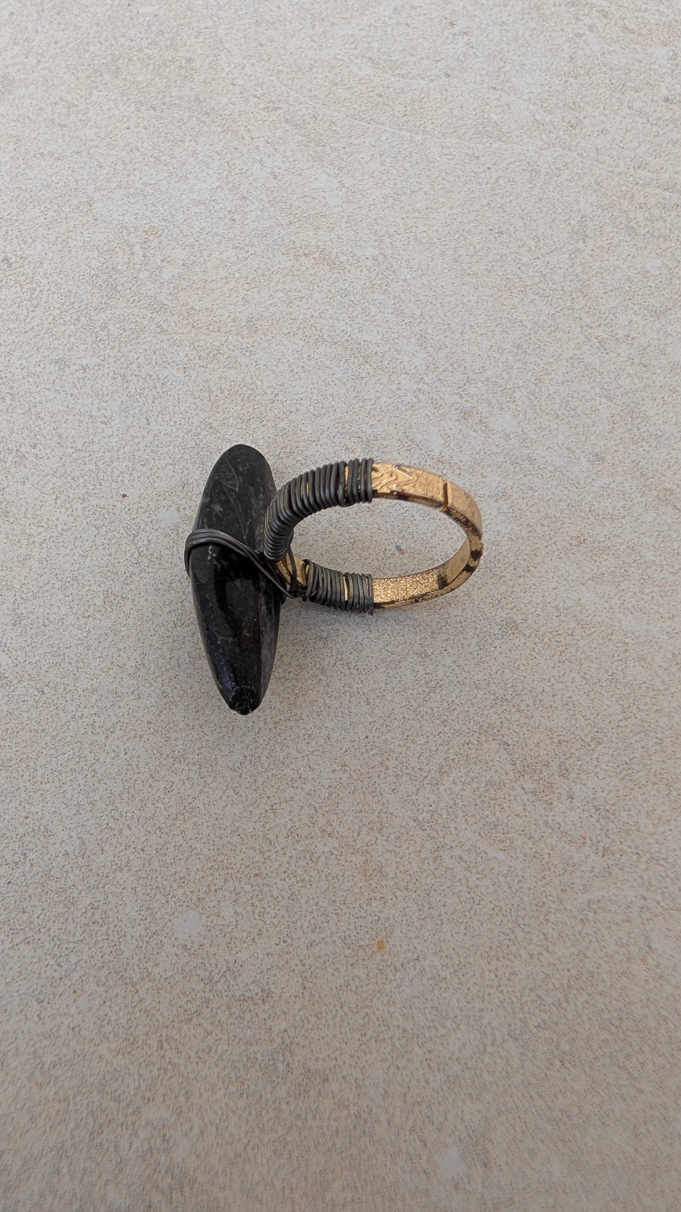 Bague fossile d'orthocère