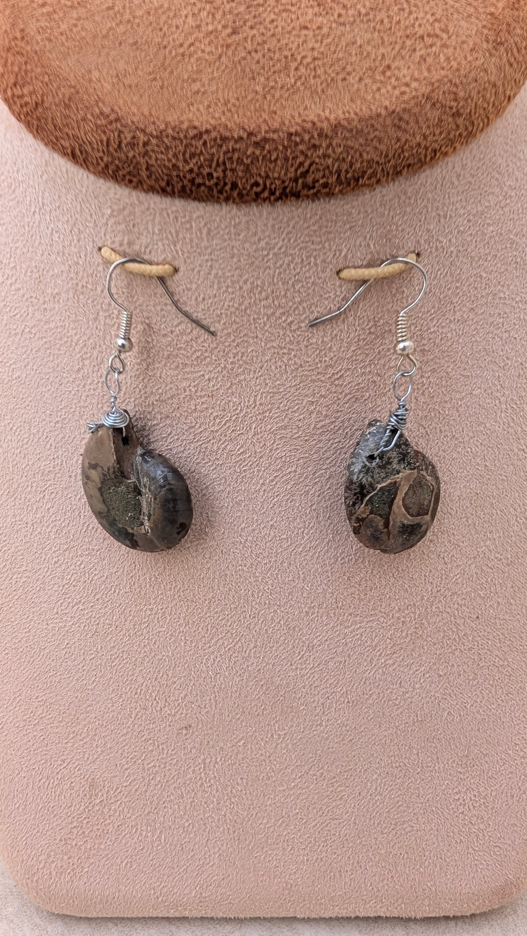 Boucles d'oreilles en ammonite polie