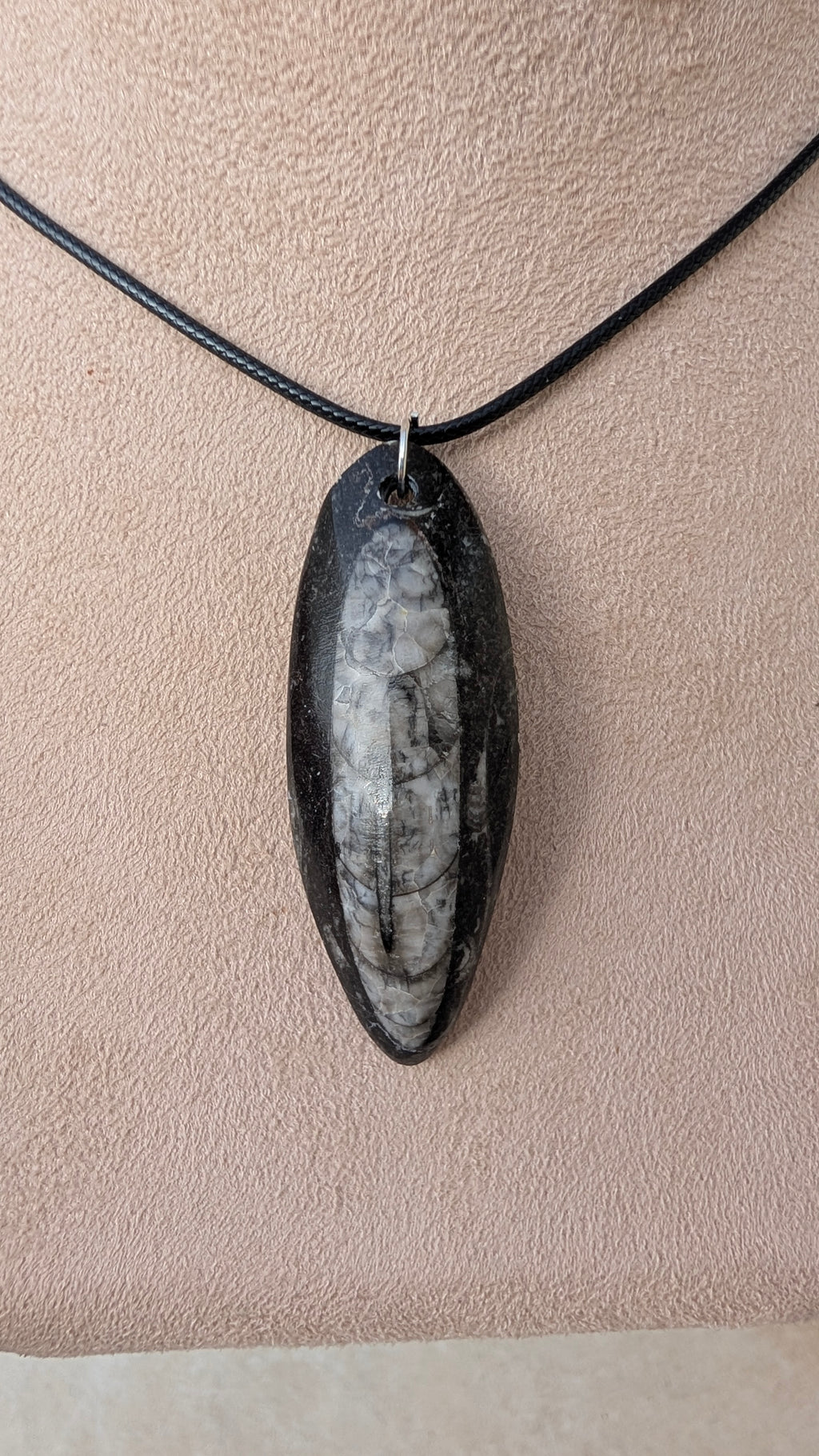 Collier pendentif Orthoceras