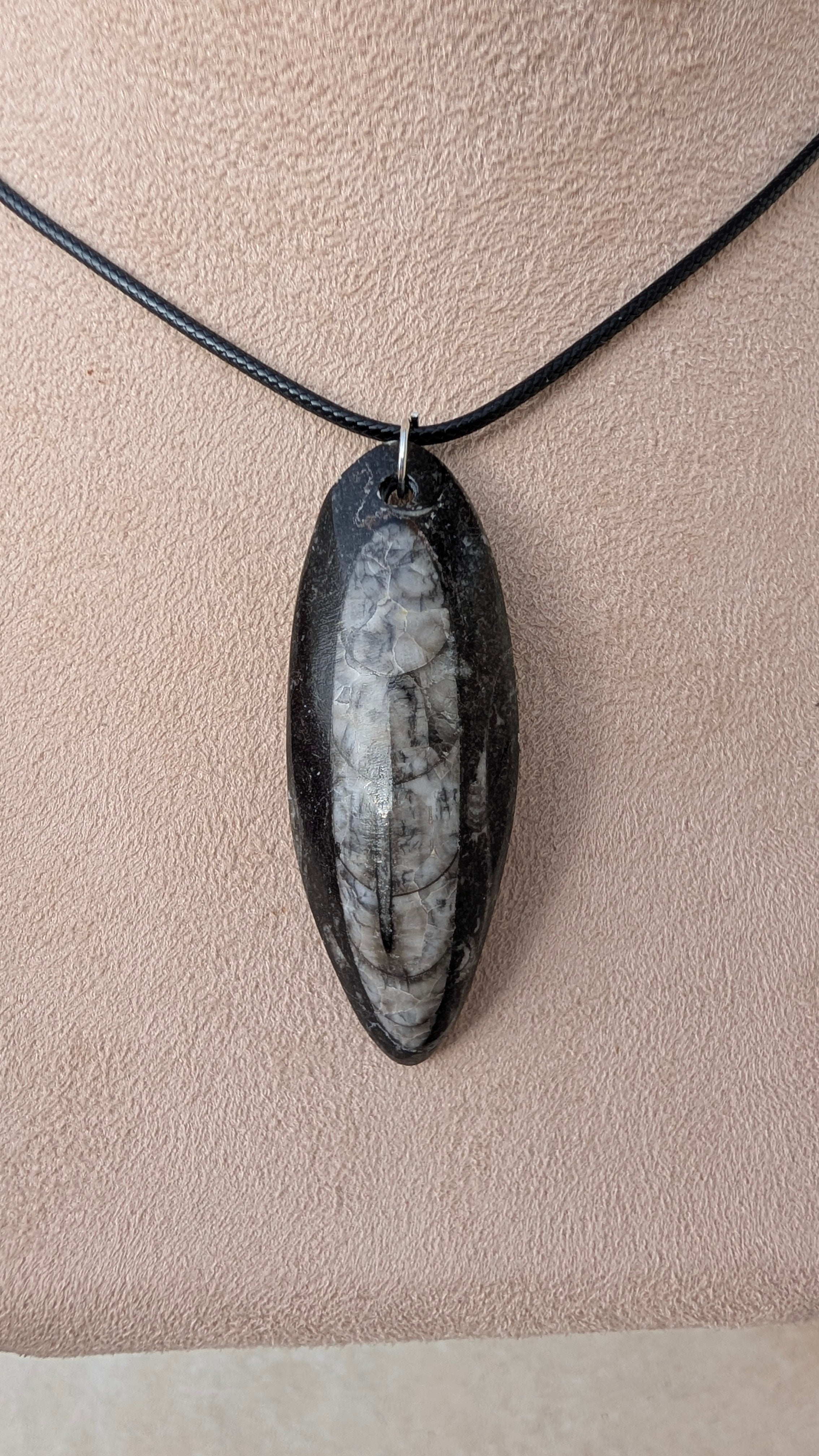 Collier pendentif Orthoceras