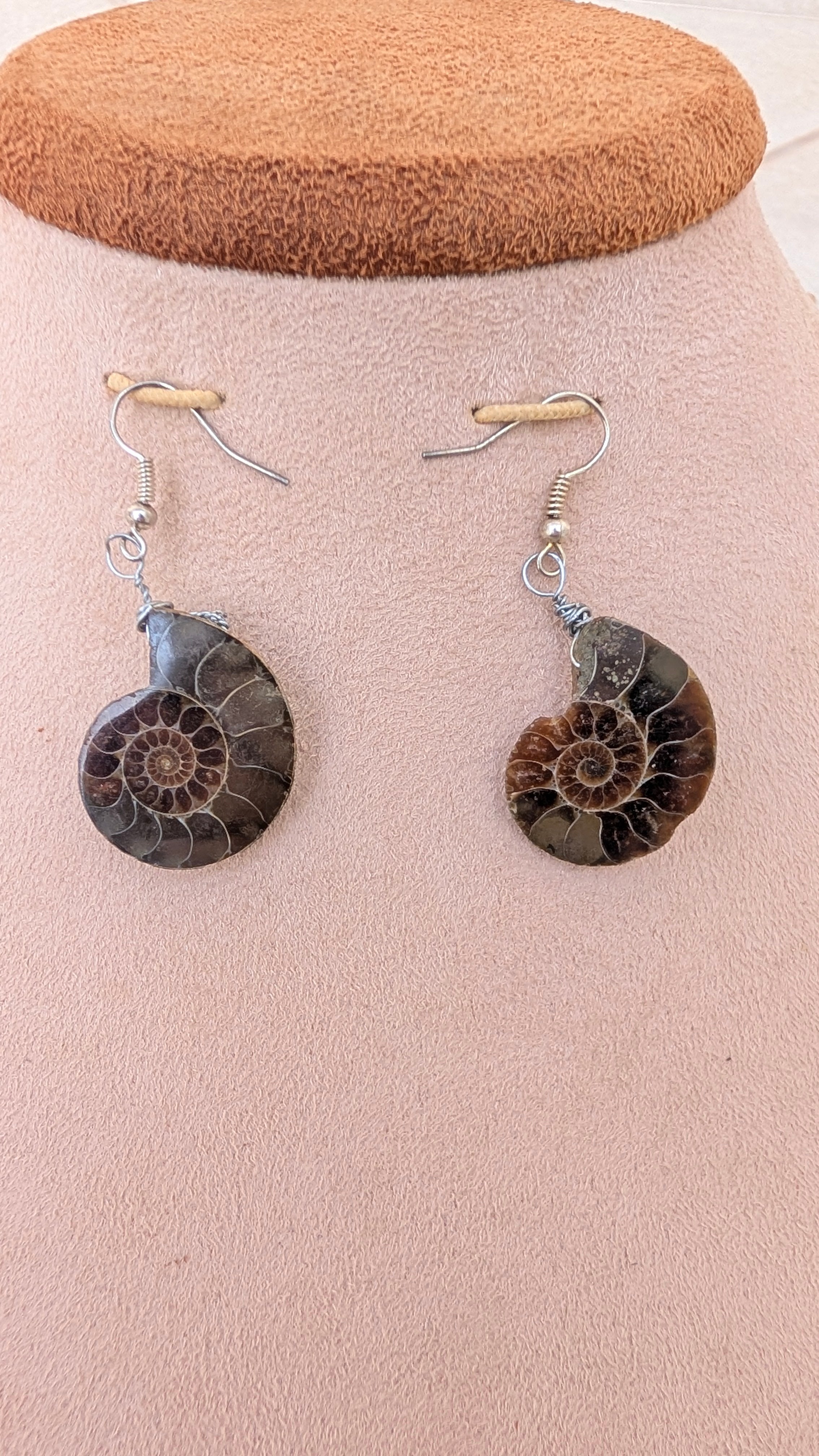 Polished Ammonite Earrings