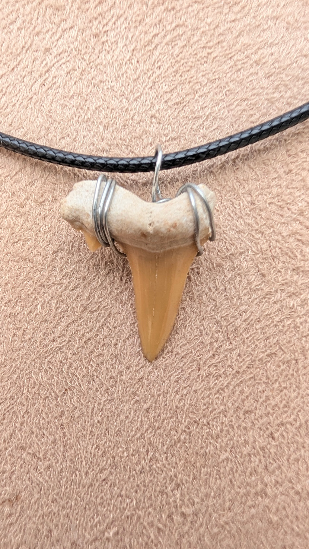Collier dent de requin-taureau