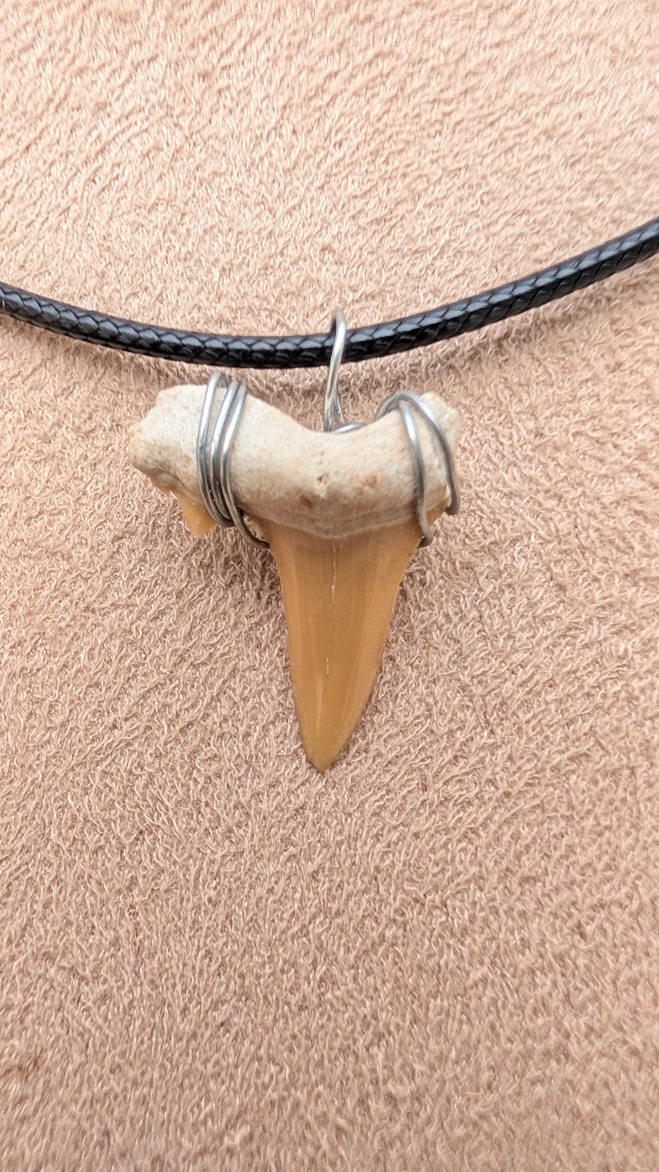Sand Tiger Shark Tooth Necklace