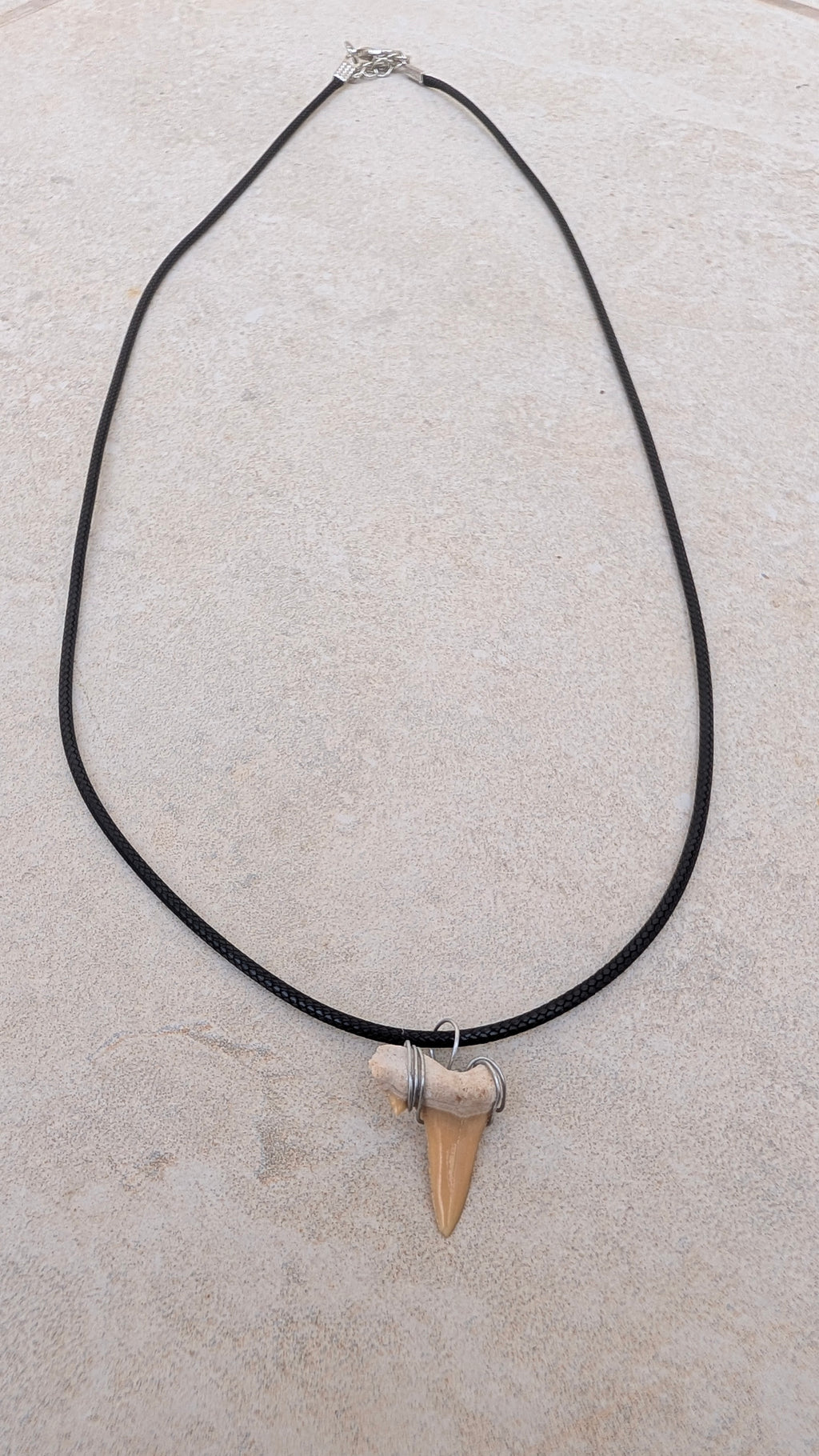 Collier dent de requin-taureau