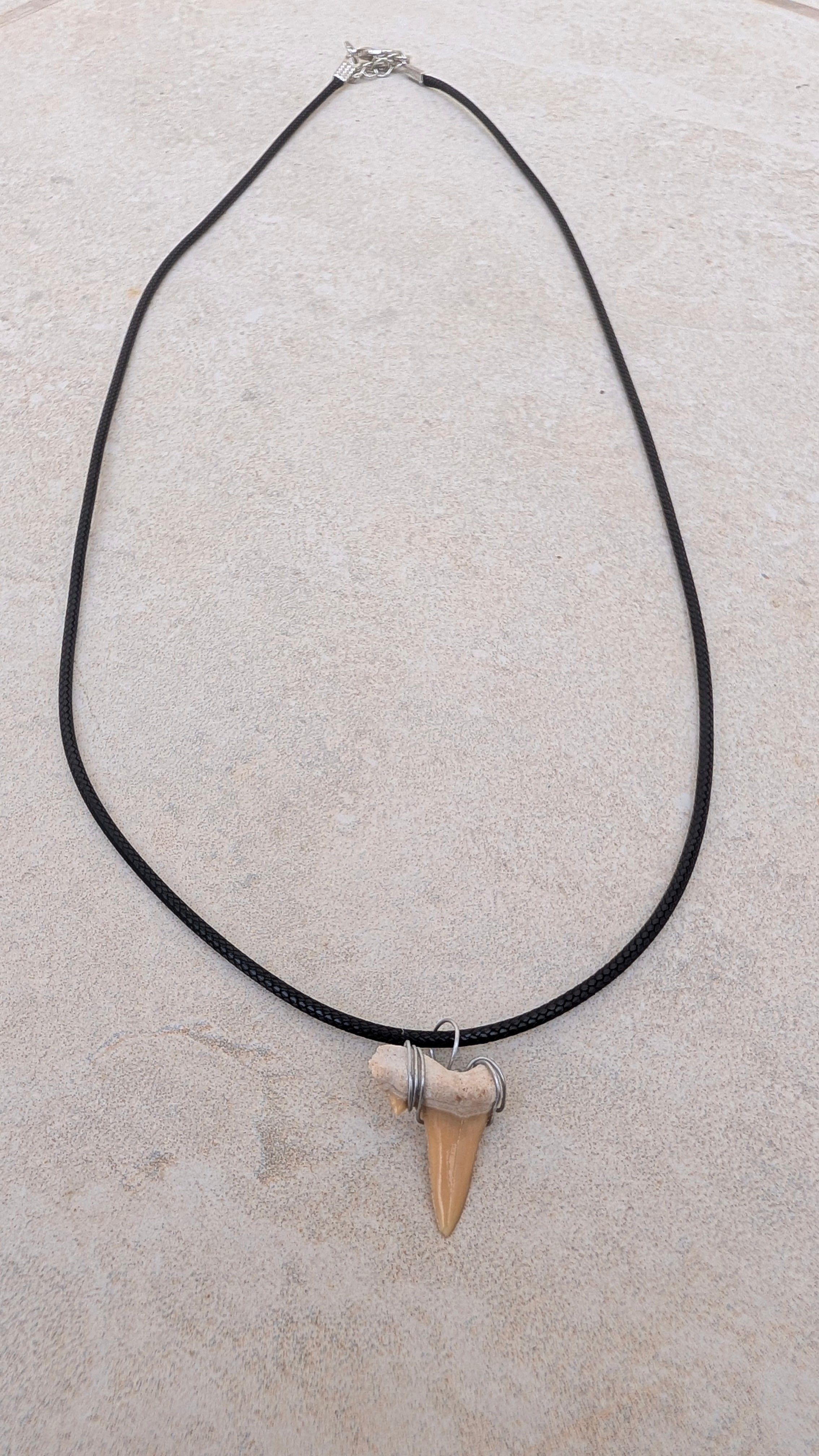 Sand Tiger Shark Tooth Necklace